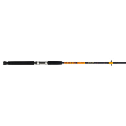 Bigwater 2-Piece Spinning Rod