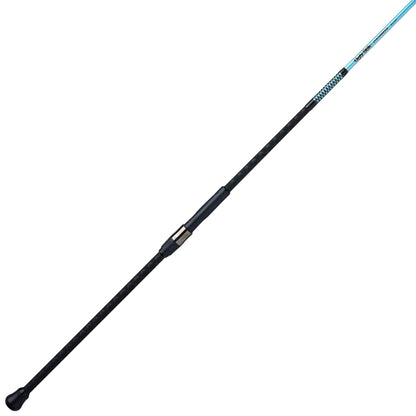 Carbon Surf Spinning Rod